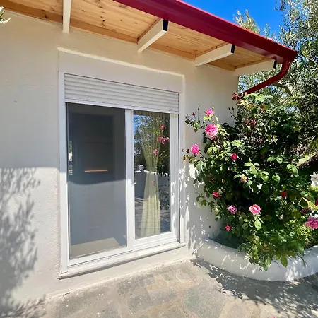 Olivia's Garden 3*